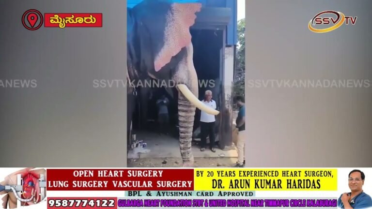 ಸುತ್ತೂರು ಮಠಕ್ಕೆ 10 ಅಡಿ ಎತ್ತರದ ರೋಬೋಟಿಕ್ ಆನೆ ಉಡುಗೊರೆ