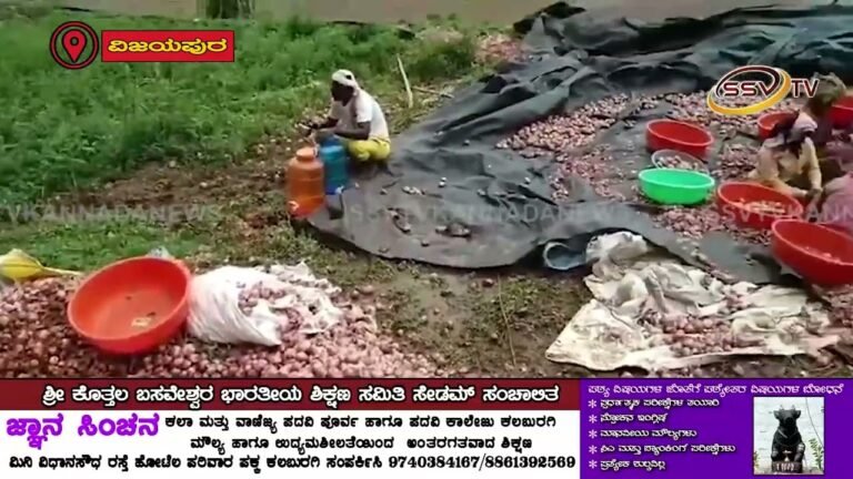 ಲಕ್ಷಾಂತರ ಮೌಲ್ಯದ ಈರುಳ್ಳಿ ಮಳೆಯಾರ್ಭಟಕ್ಕೆ ಹಾನಿ