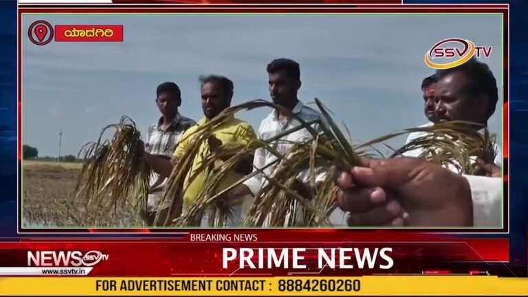 ಭೀಮಾನದಿ ಪ್ರವಾಹ ತಗ್ಗಿದ ನಂತರ ಅನ್ನದಾತರ ಸಂಕಷ್ಟ